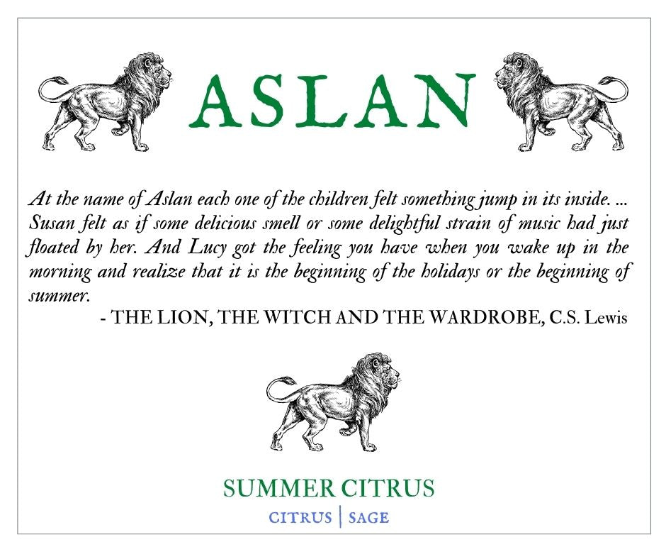 Aslan Soy Wax Melts